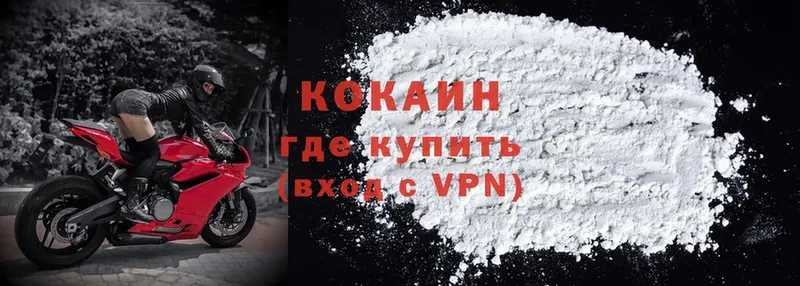 где можно купить   Палласовка  COCAIN VHQ 