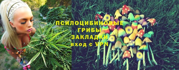прущие крисы Магадан
