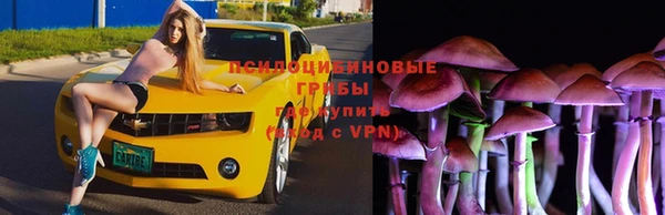 apvp Богданович